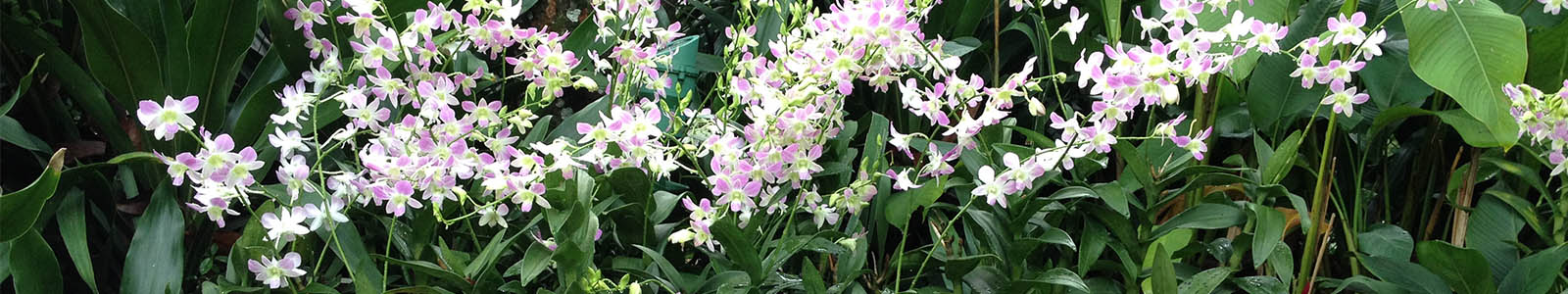 Retiro en Jerez 2026